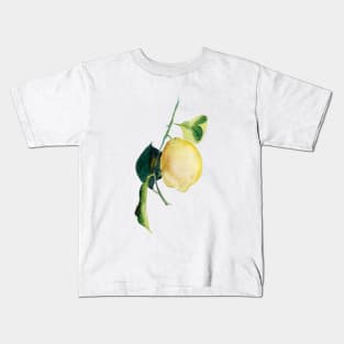 Branch of lemons with leaves Kids T-Shirt